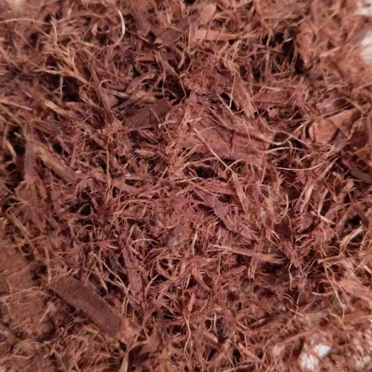 Shredded Mimosa hostilis root bark, a loose pile of fine reddish-brown fibers