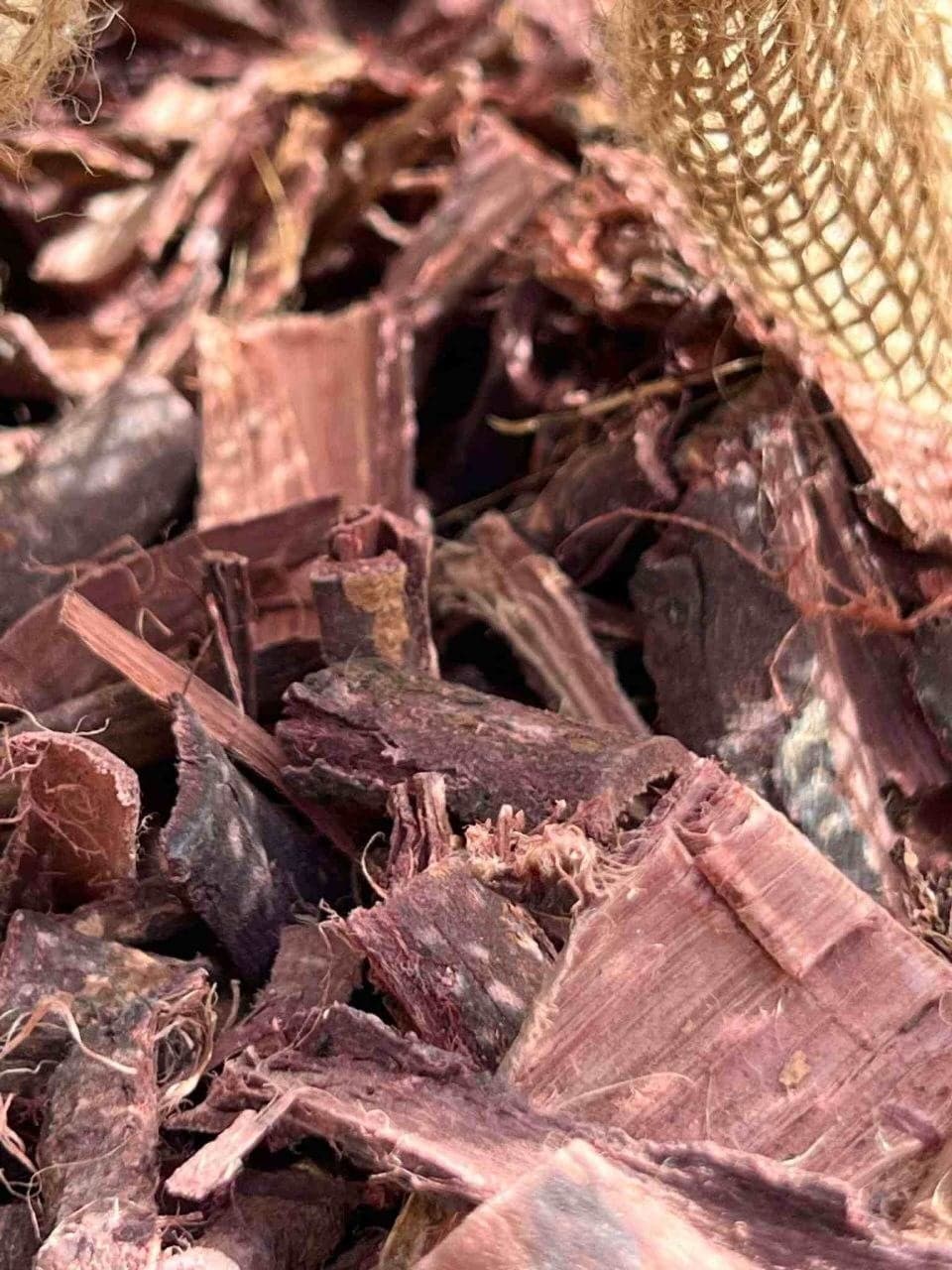 Whole Mimosa hostilis root bark in thick chips, dark outer bark over a red-brown inner face
